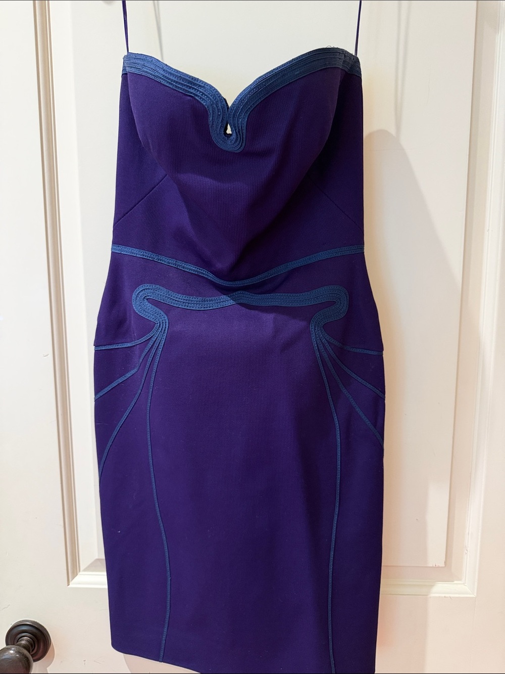 Zac Posen Purple Strapless Sculpted Bodycon Dress with Blue Trim